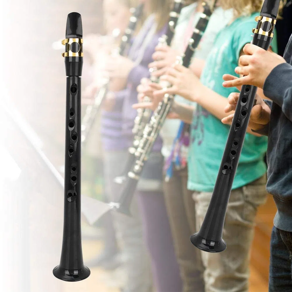 Bnineteenteam Tragbares Taschensaxophon Sax Mini Taschensaxophon mit Reed Aufbewahrungstasche Blasinstrumente Musikinstrument