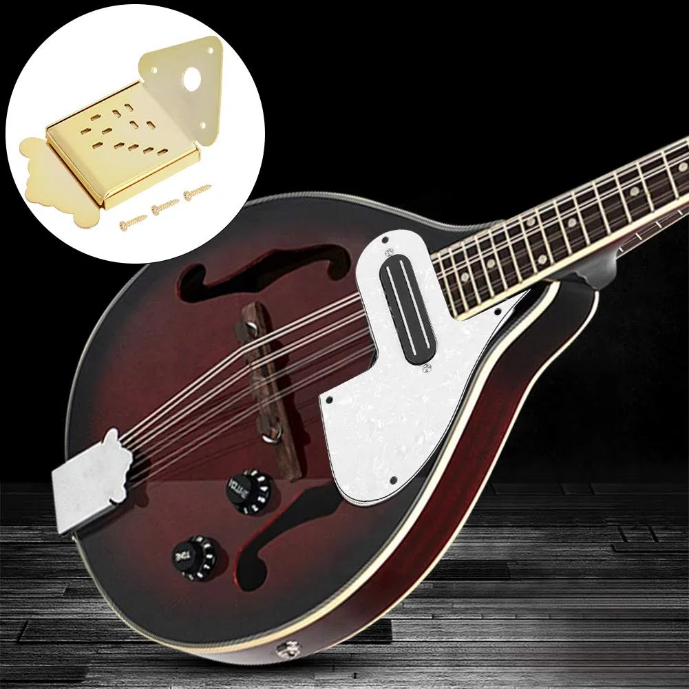 Stahl Mandolinen Saitenhalter, Chrom Mandolinen Saitenhalter Abdeckung Ersatz für Mandoline 8, 10 oder 12 Loop End Saiten (fünf Arten)(QB10 Golden ohne Muster) Musikinstrumentenzubehör