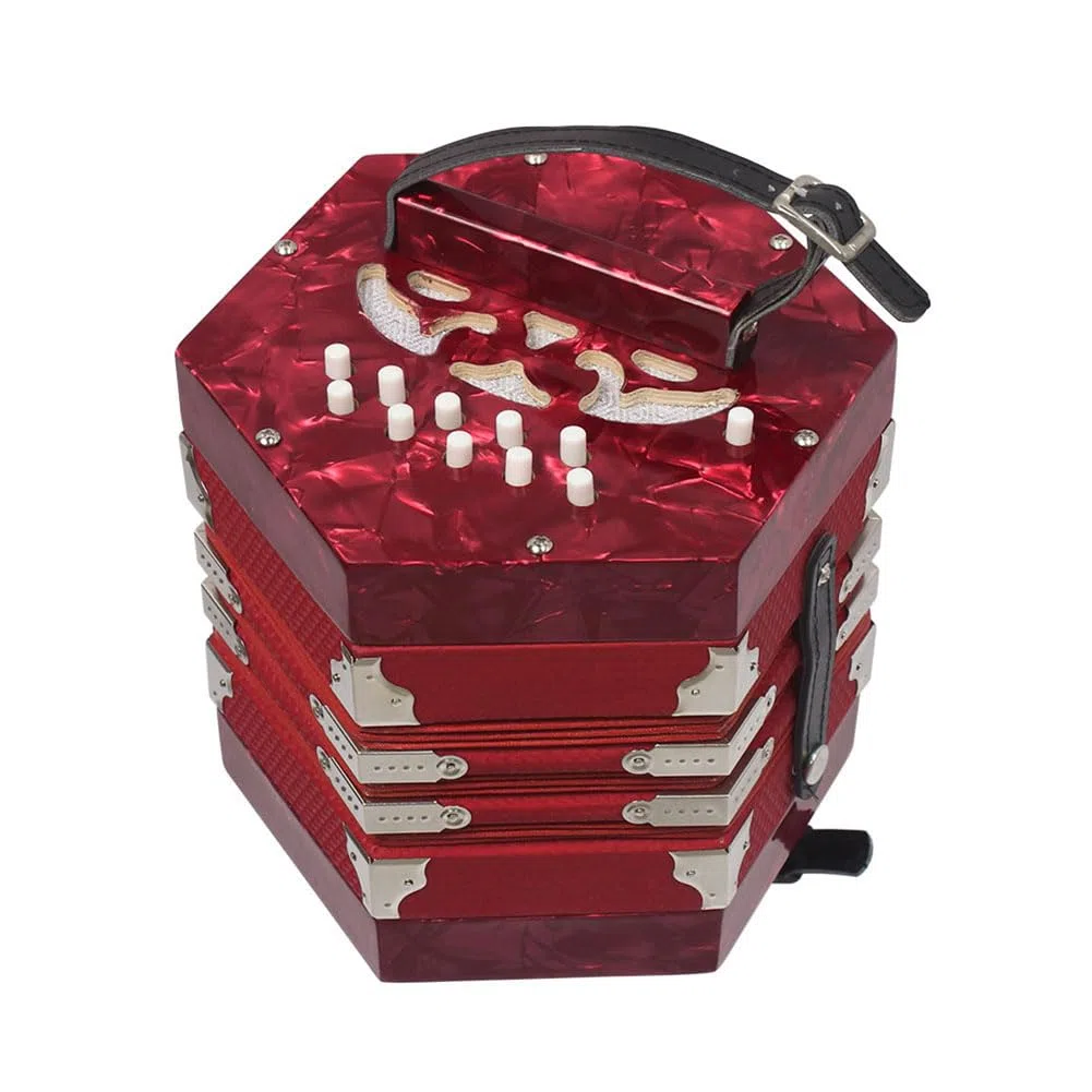 Ziehharmonika-Instrument, Professionelle Ziehharmonika 20 Tasten 40 Reed mit Tragetasche mit Aufbewahrungstasche für Kinder Erwachsene