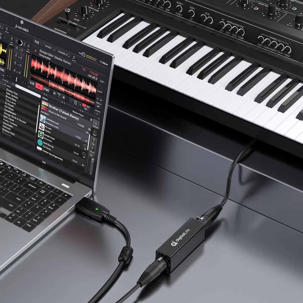 DigitalLife Einzelkanal XLR Ground Loop Noise Isolator – Brummensenkung – Passiv, Modell XLR-A600-I, M/F (Nicht kompatibel mit P24/P48 Phantomgespeisten Mikrofonen)