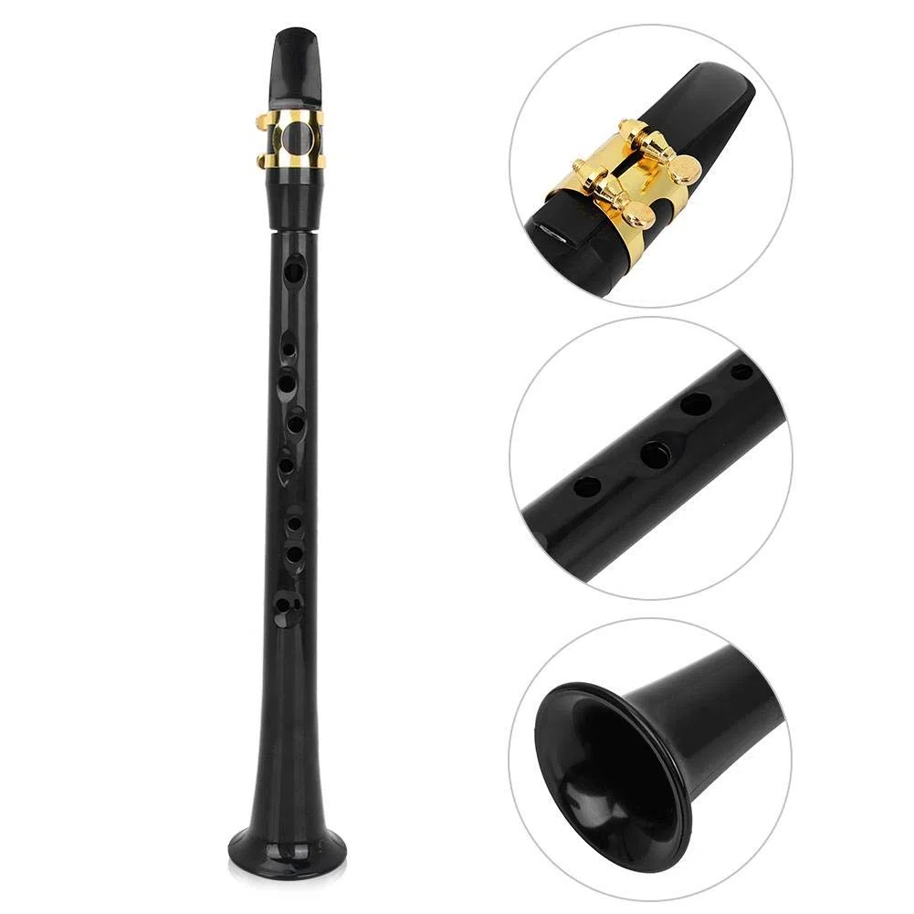 Bnineteenteam Tragbares Taschensaxophon Sax Mini Taschensaxophon mit Reed Aufbewahrungstasche Blasinstrumente Musikinstrument