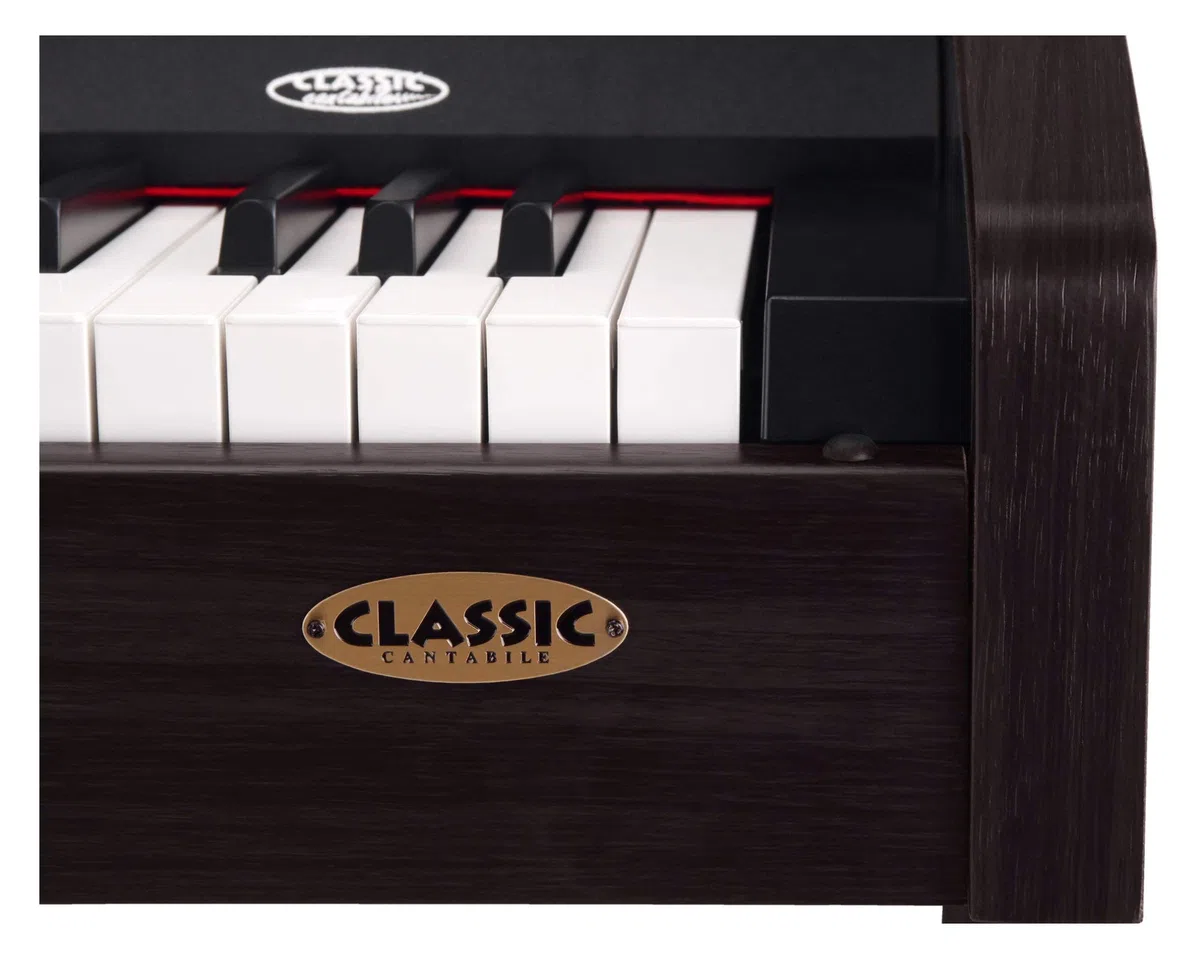 Classic Cantabile DP-210 RH E-Piano SET inkl. Bank, Kopfhörer, Schule (Digitalpiano 88 Tasten Hammermechanik, Kopfhöreranschlüsse, USB, Metronom, 3 Pedale, Piano für Anfänger, inkl. Noten) Rosenholz