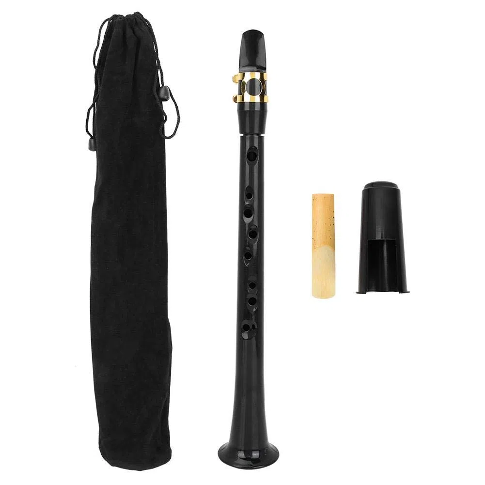 Bnineteenteam Tragbares Taschensaxophon Sax Mini Taschensaxophon mit Reed Aufbewahrungstasche Blasinstrumente Musikinstrument